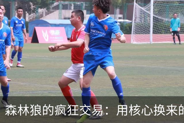 森林狼的疯狂交易：用核心换来的高薪泡沫？